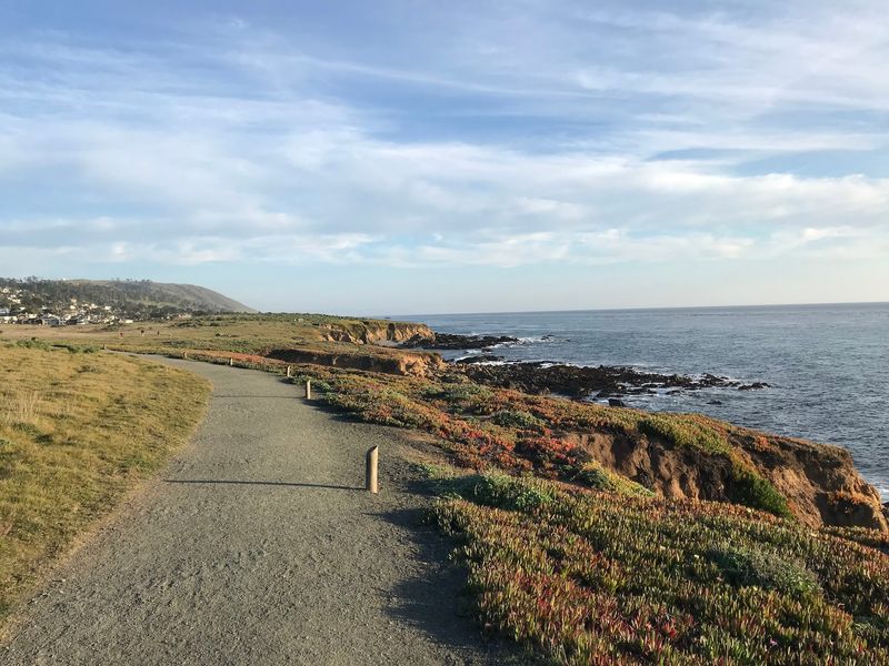 Fiscalini Ranch Preserve in Cambria Wraps Up the Coast in Style