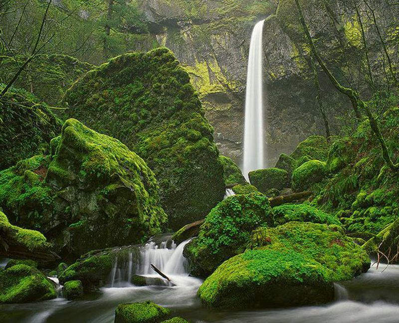 Elowah Falls