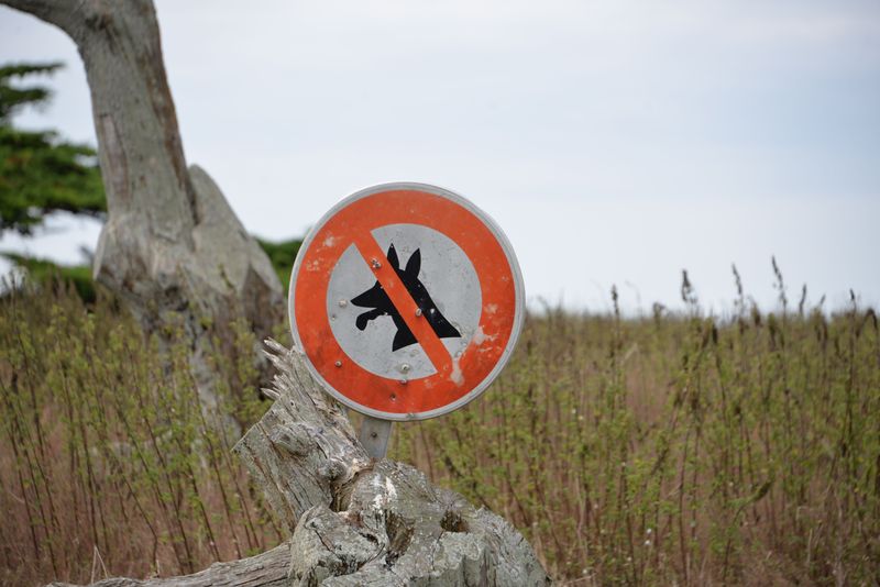 State Beaches Are Not Automatically Open