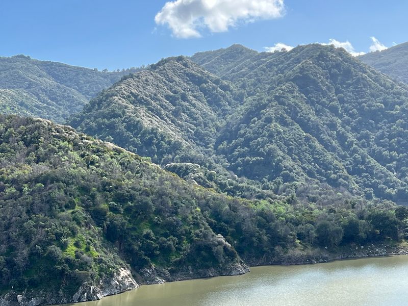 Two National Forests, Endless Options