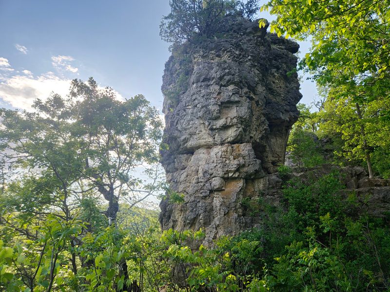 Whitewater State Park Adds Bluff Country Trails