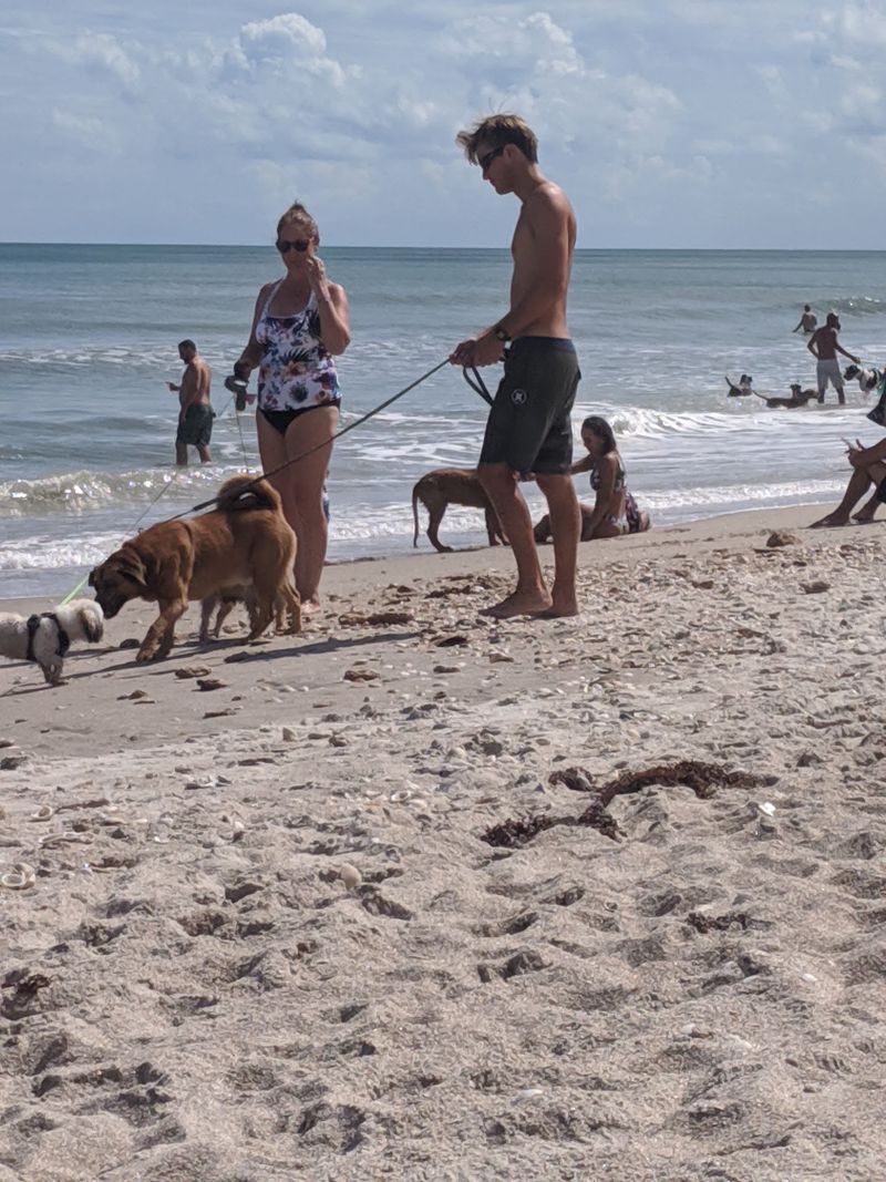 Canova Beach Park, Indian Harbour Beach