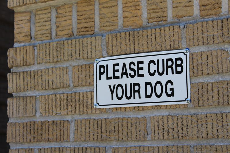 Owners Must Clean Up After Their Dogs in Many Places