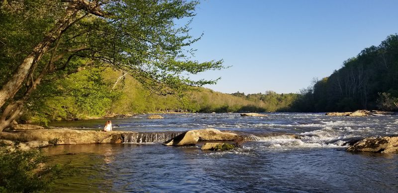 French Broad River Dog Park, Asheville