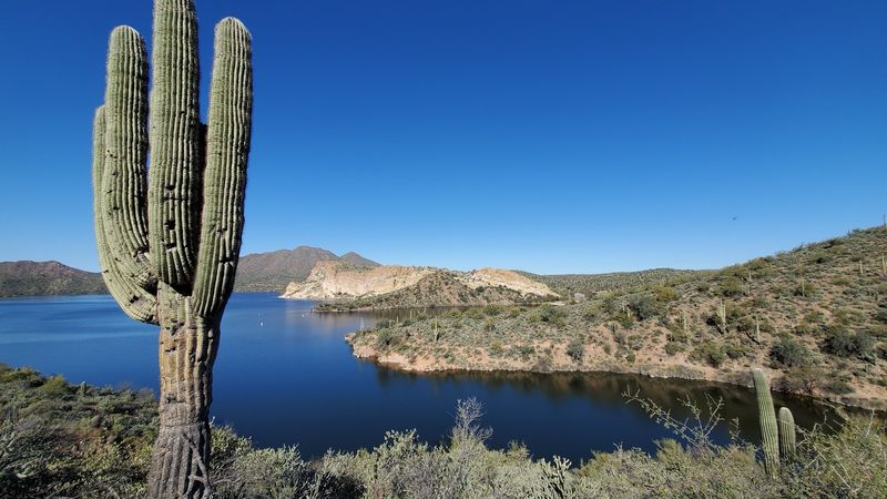 Saguaro Lake