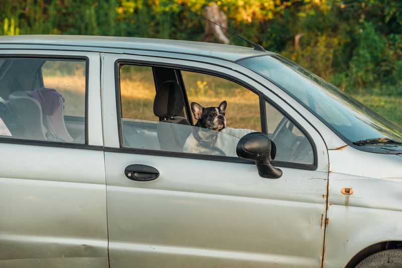 Hot Cars Are Treated Seriously