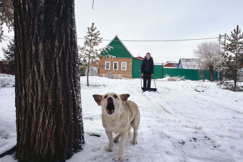 Watch for Bears Around Rural Homes