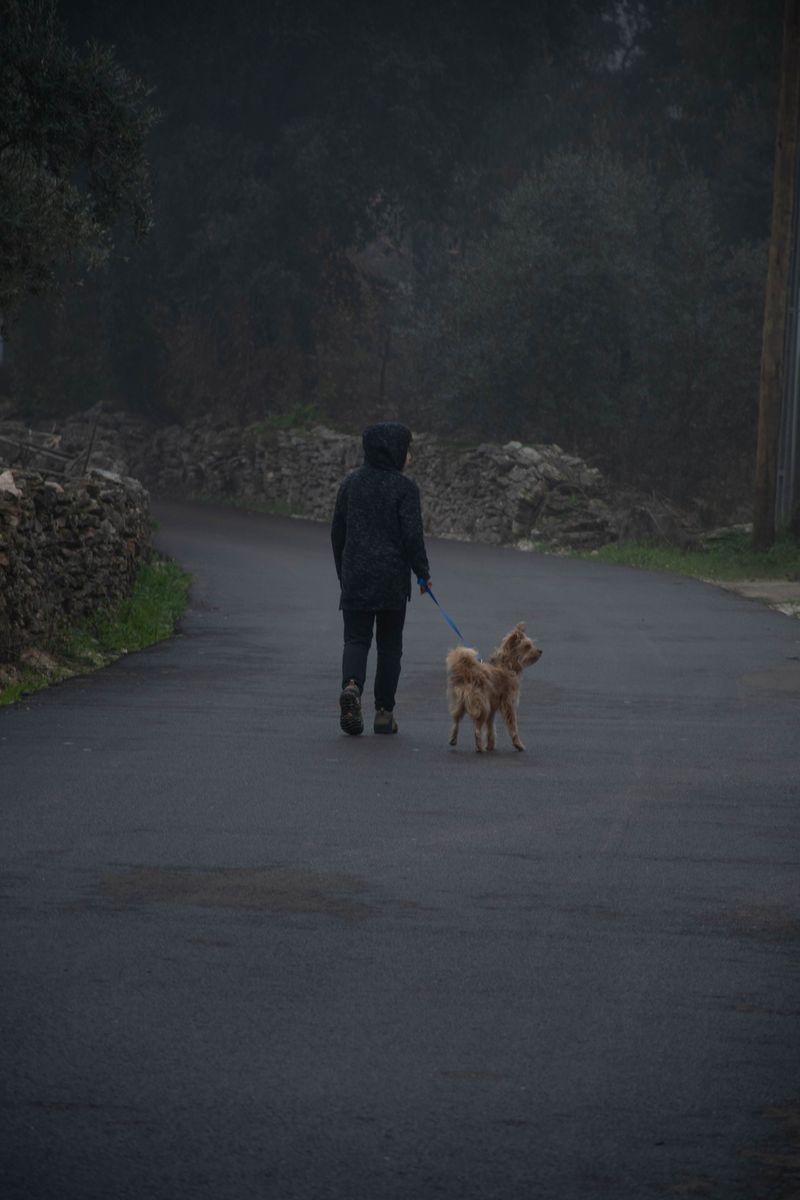 Know When To End The Walk