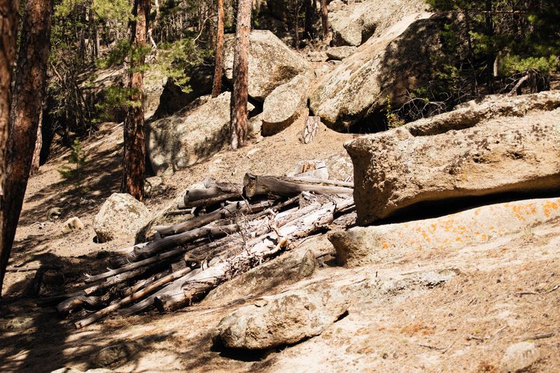 Logs And Rocks Deserve Extra Attention