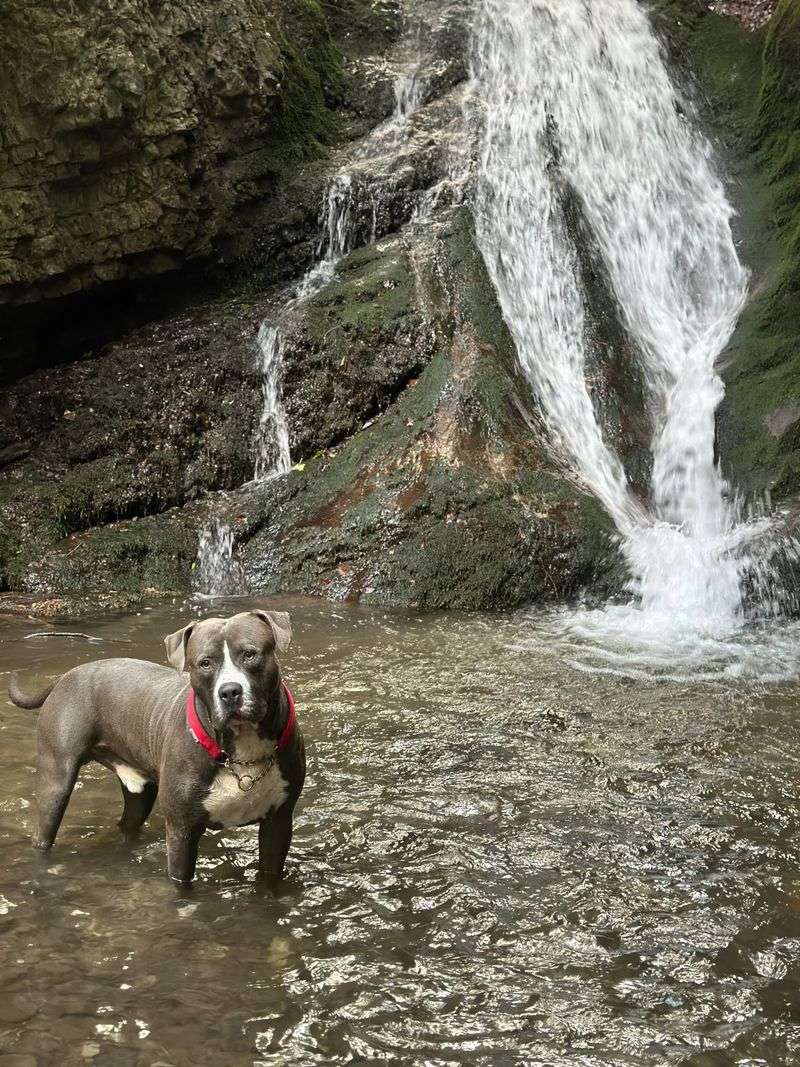 Expect Water Along Some Trails