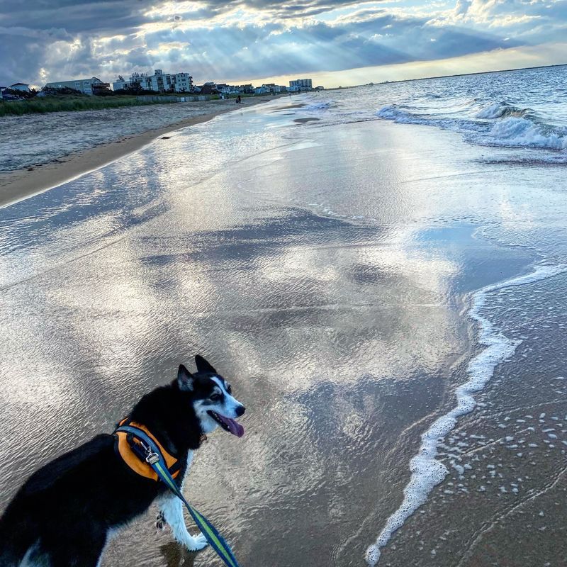 Ocean View Beach, Norfolk