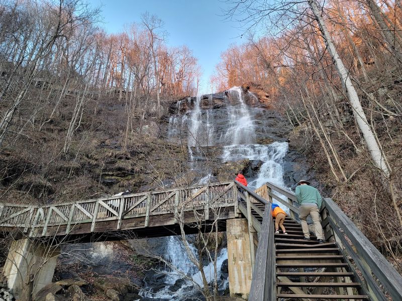 Amicalola Falls with your dog