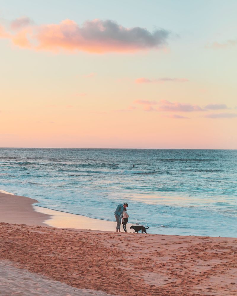 Keep the Dog Within Immediate Reach