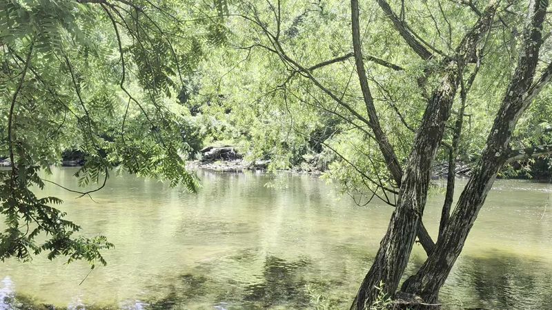 Brandywine Park and the Creek's Shaded Banks, Wilmington