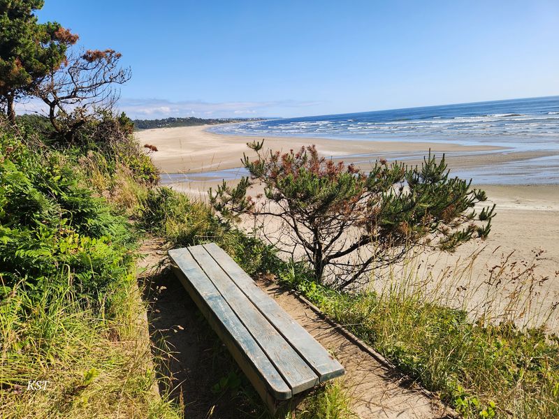 Agate Beach State Recreation Site, Newport