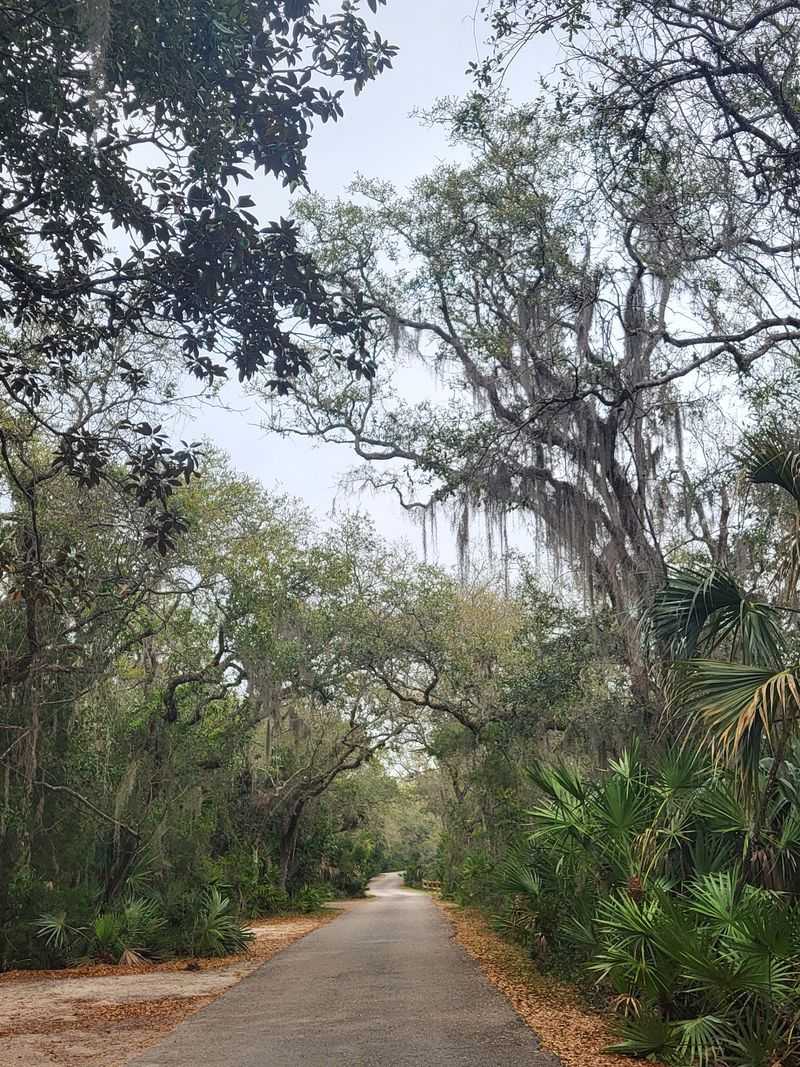 Anastasia State Park Makes a Great St. Augustine Escape