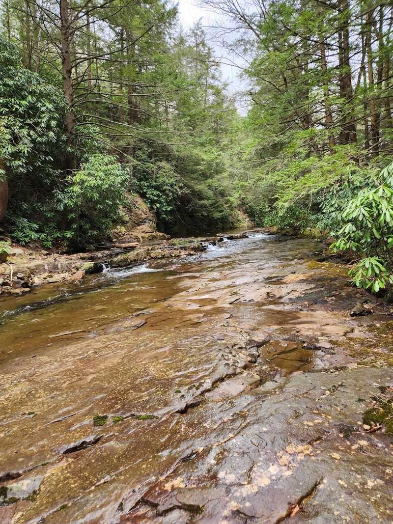 Bear Creek Preserve, Luzerne County