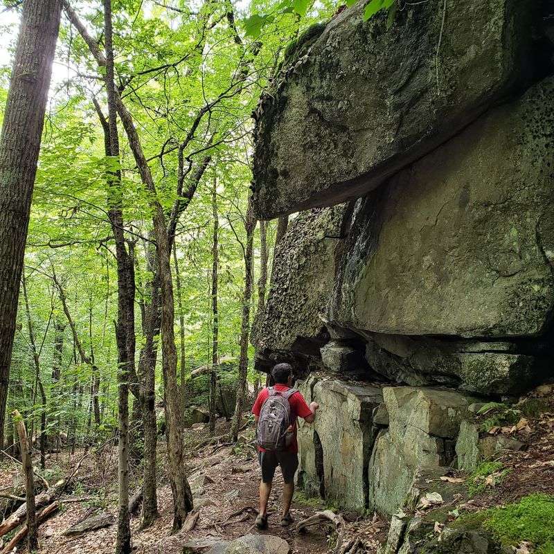 Boulder Loop Trail: A Rocky Ramble With Range