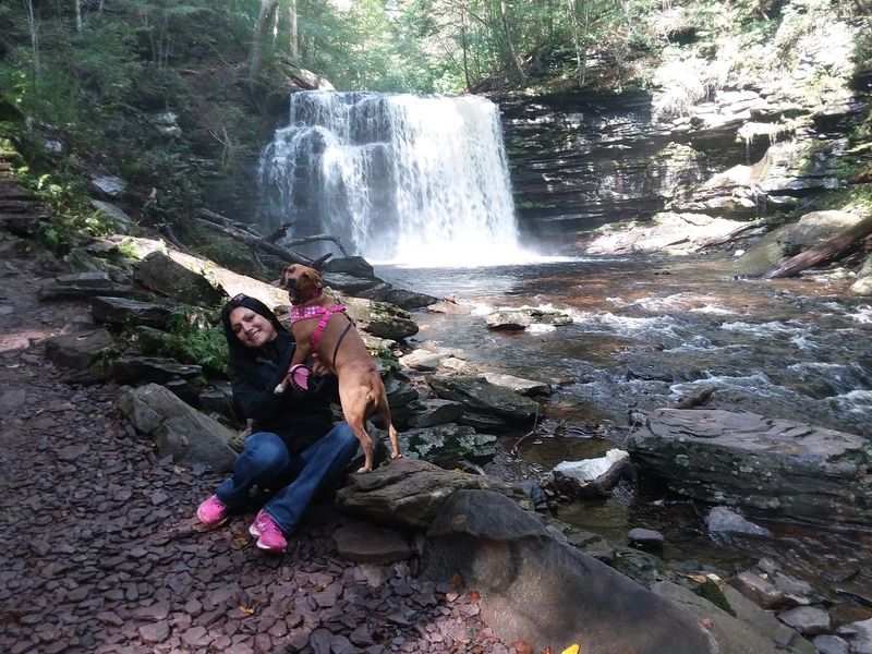 Ricketts Glen State Park And The Falls Trail