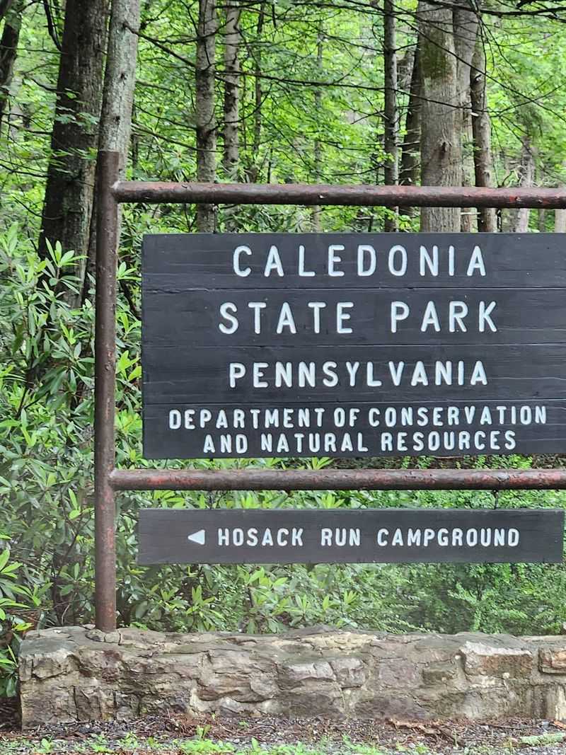 Hosack Run Campground at Caledonia State Park