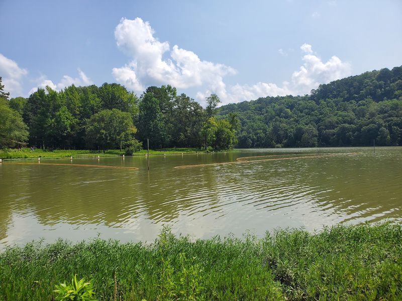Shores Lake