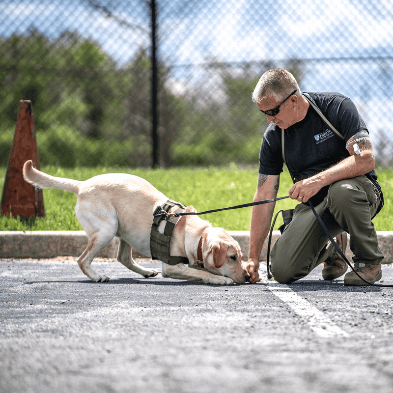 Heat Stress During Pavement Walks