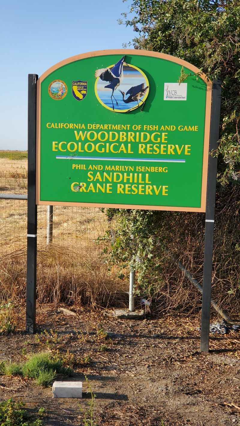 Woodbridge Ecological Reserve Outside Your Vehicle