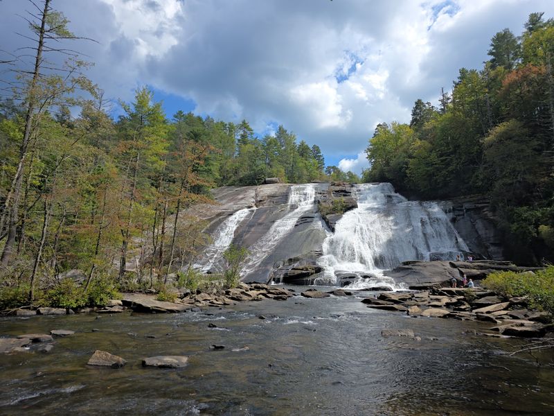 Brevard