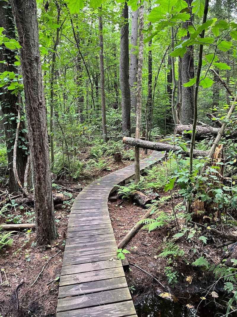 Georgetown-Rowley State Forest