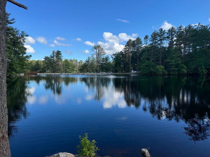 Harold Parker State Forest, Andover