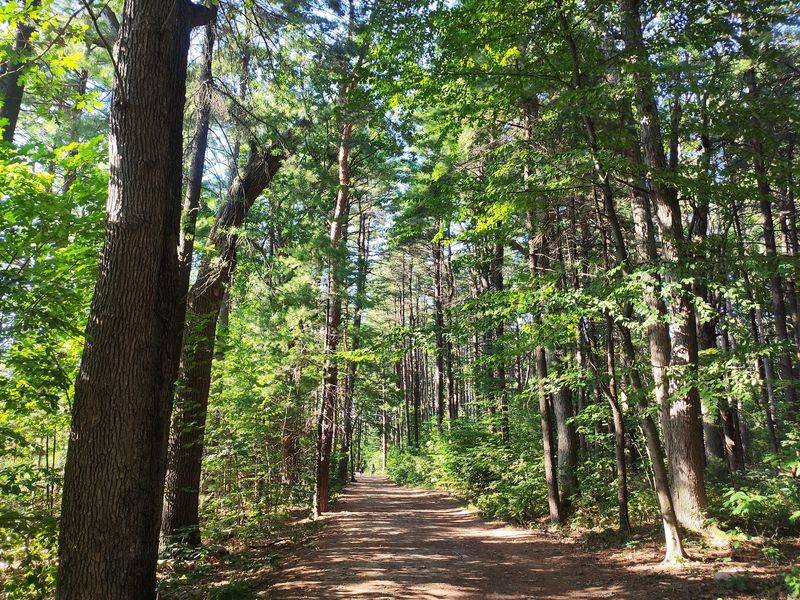 Middlesex Fells Reservation, Stoneham