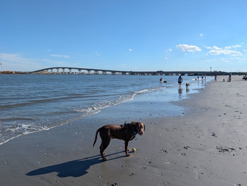 Longport Dog Beach