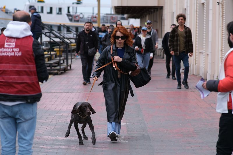 Keep Your Dog Secure Around The Harbor