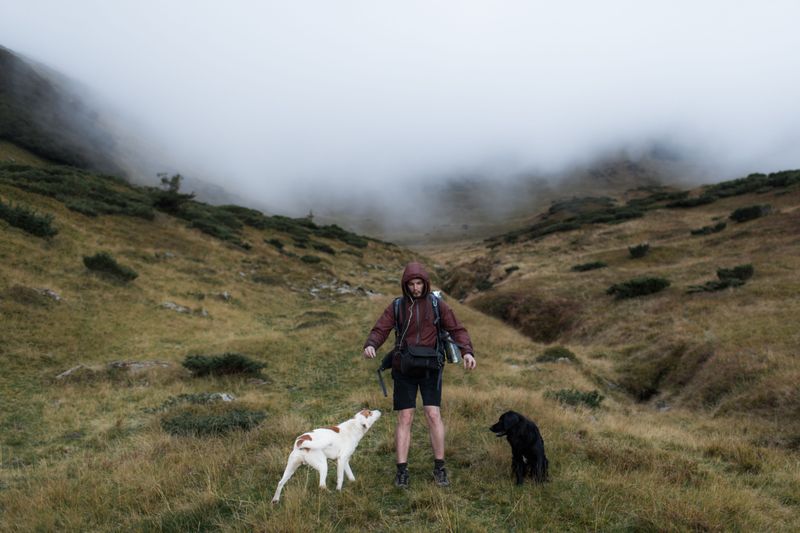 Pack Extra Dog Food on Longer Hikes
