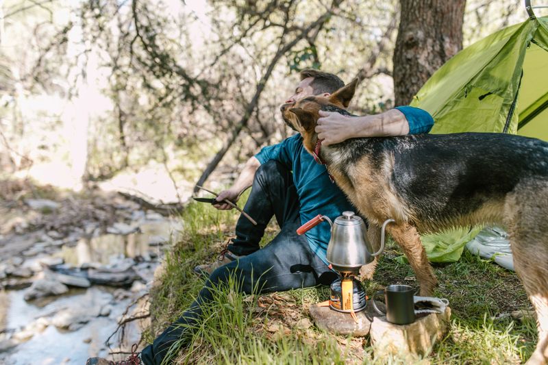 Pack A Dog-Friendly First-Aid Kit