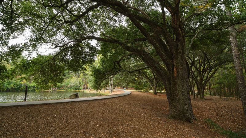 Look for Shade Along Your Route