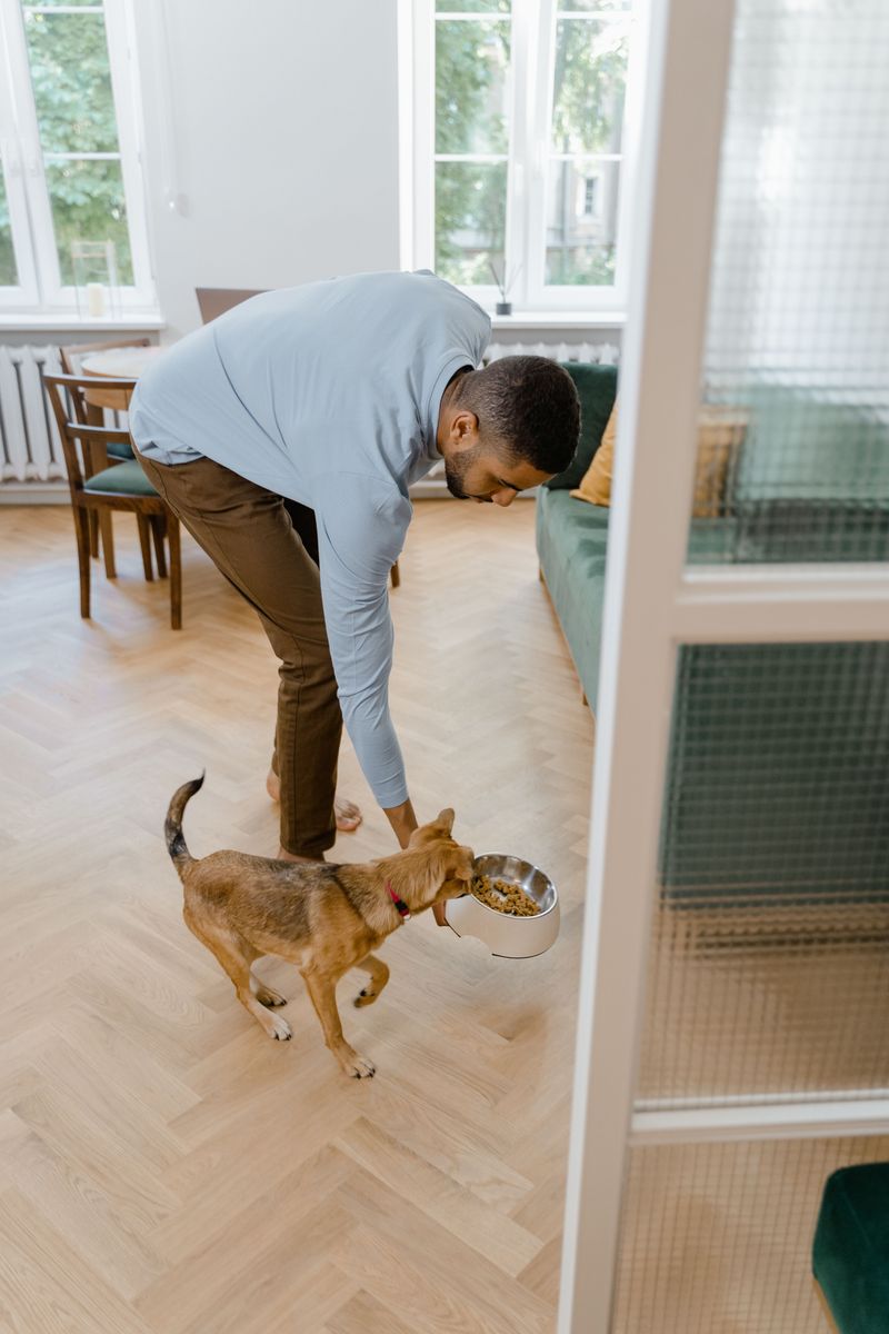 Plan Around Your Dog's Routine
