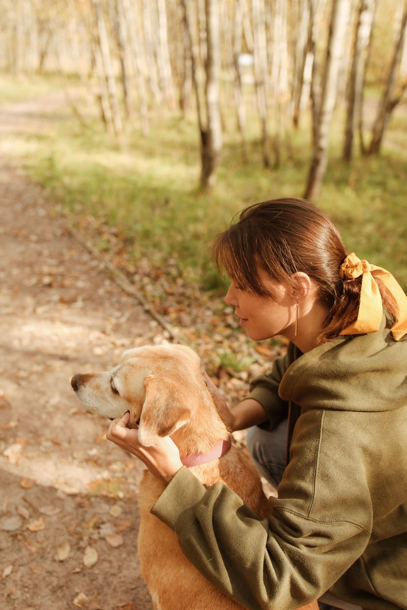 Check For Ticks After Your Walk