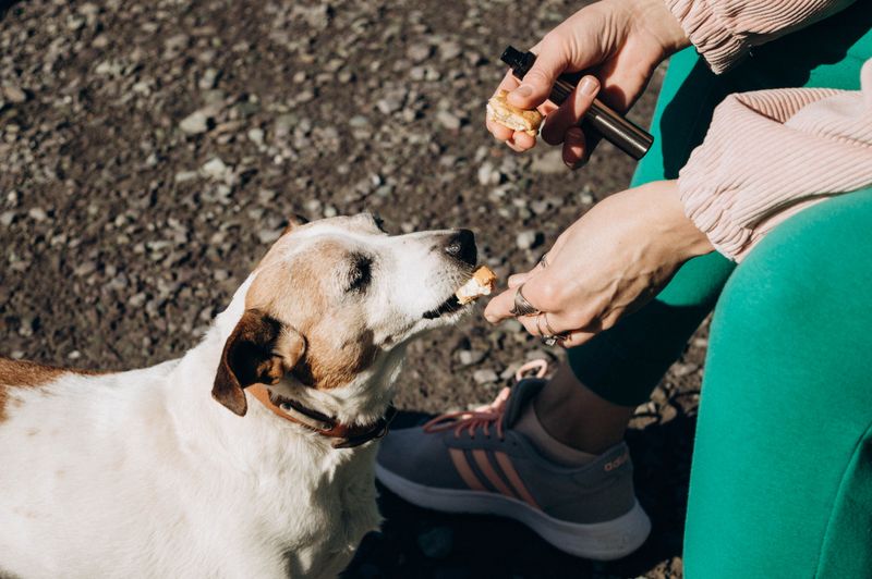Pack Food and Simple Treats