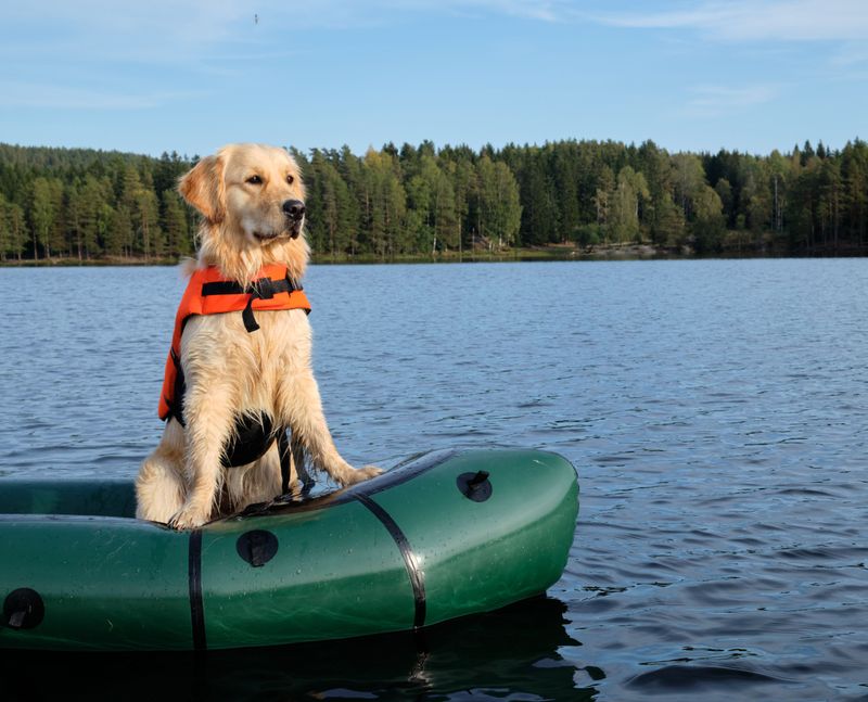 Life Jackets Are Lake Day Gear
