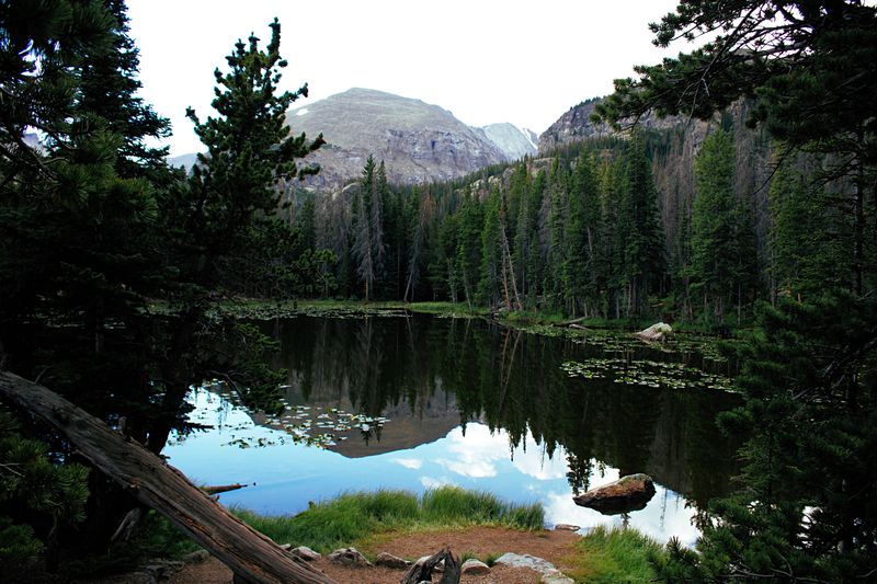 Lily Pad Lake Trail