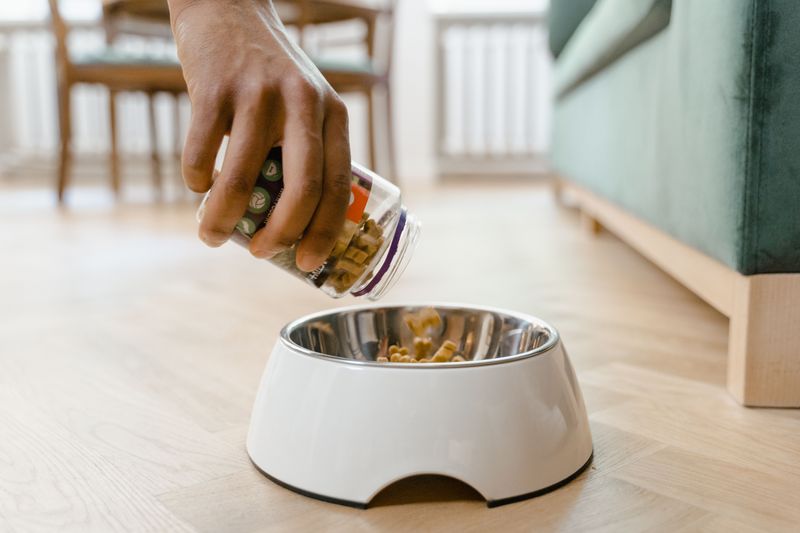 Stock Up On Extra Dog Food