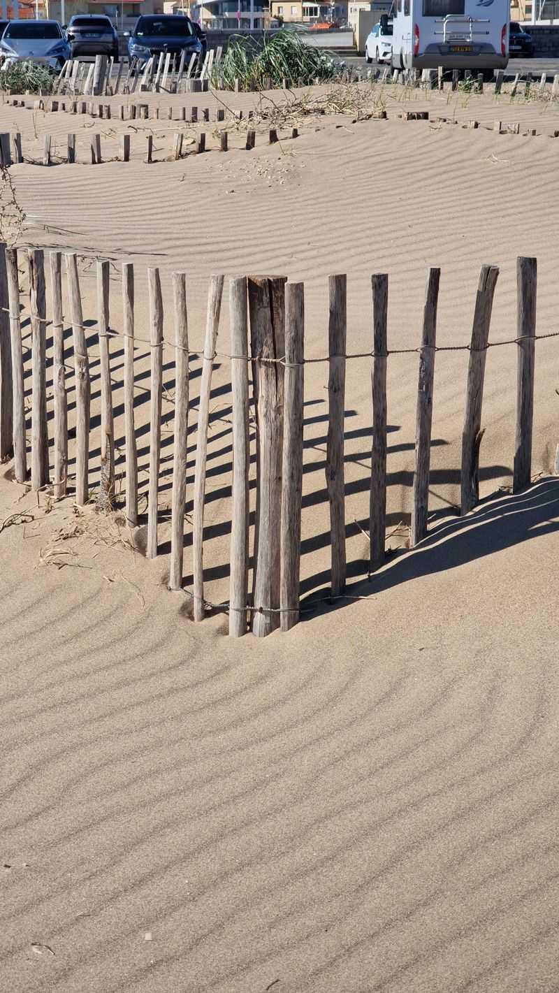 Give Nesting Birds And Wildlife Plenty Of Space