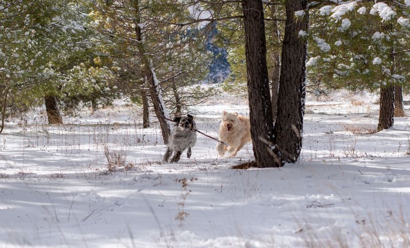 Winter Can Close Trails You Used in Summer
