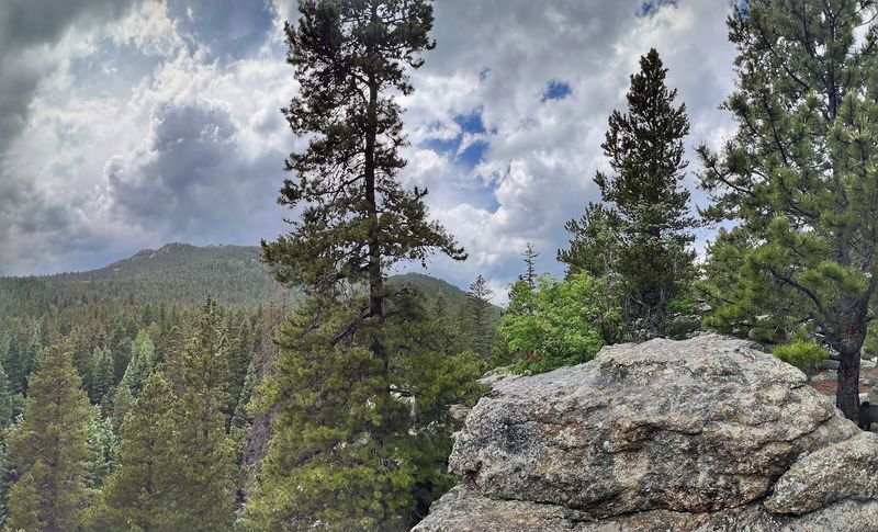 Coyote Trail, Golden Gate Canyon State Park