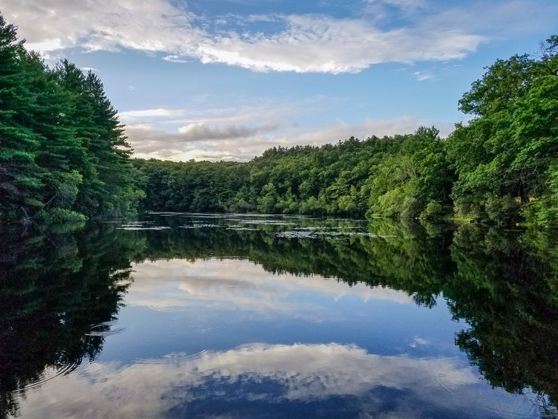 Rocky Woods, Medfield