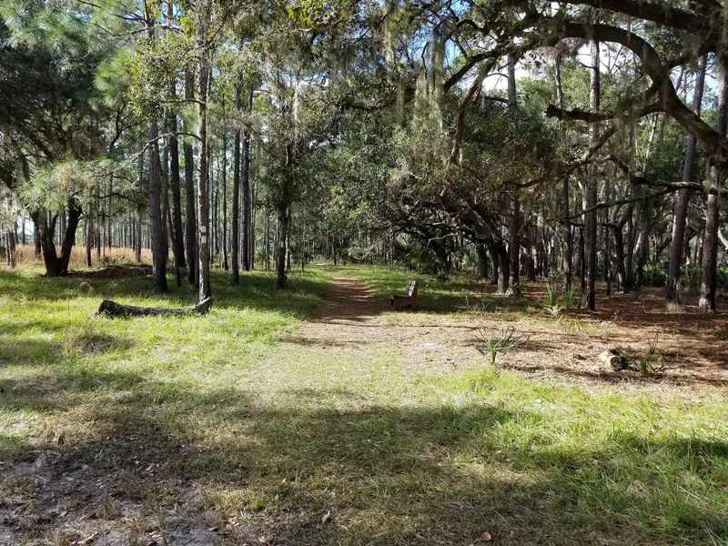 Walk the trails at Lake Kissimmee State Park