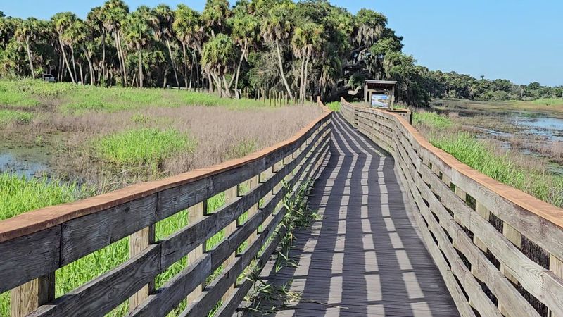Explore Myakka River State Park on foot
