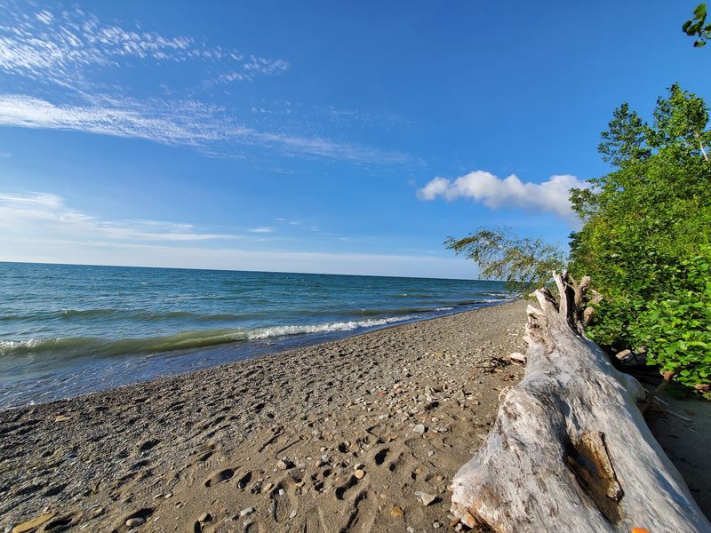 Lake Erie Bluffs Dog Swim Area - Perry Township