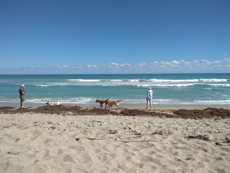 Walton Rocks Beach and Dog Park, Jensen Beach